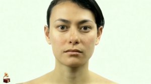 Alchemorph   Enigma Chill   Ambient S  A  2021