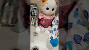 УТРЯННЯЯ РУТИНА С БАСИКАМИ