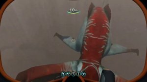 Top 10 Biggest Creatures In Subnautica