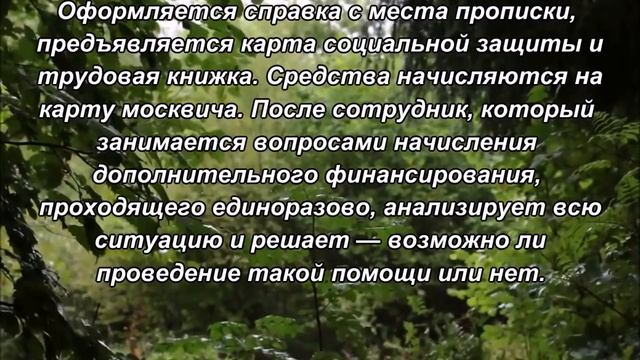 Как пенсионерам получить 2000 рублей от соцзащиты