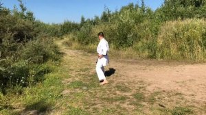 Ката Дзион