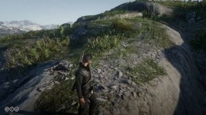 RDO: Трюки с револьверами и пистолетами