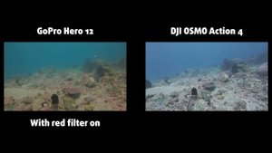 GoPro Hero 12 vs DJI OSMO Action 4 | Underwater comparison ?