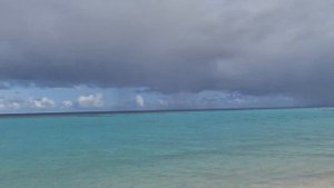 walking around Endheri Sunset Dhangethe(very high tide just after 2days from full moon.)