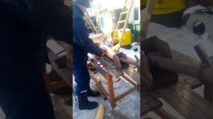 Запустили дравокол смотреть всем!