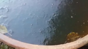 ЗАМОРОЗОК // ЗАМЕРЗЛА ВОДА В БОЧКЕ//