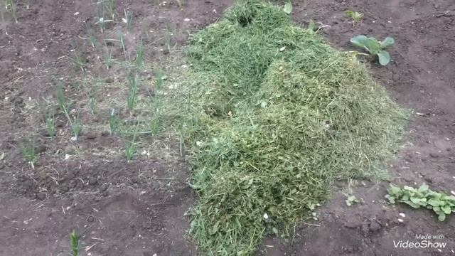 Несколько способов использования свежескошенной травы.