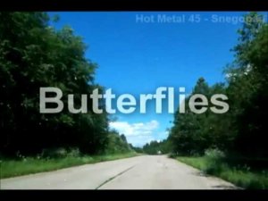 Butterflies