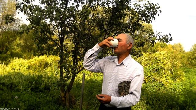 Меня укусила оса в темечко. смотреть онлайн