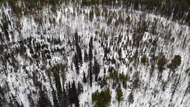 Три дня в тайге. Лесная изба. Зимняя рыбалка - хариус, язь, плотва. Таёжный быт. Дикая кухня. смотреть онлайн