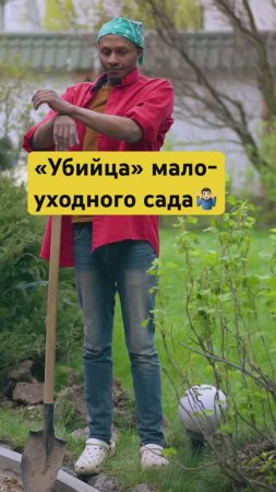 Самая БОЛЬШАЯ ОШИБКА малоуходного сада (не то что вы подумали)