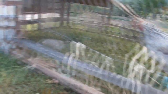 Огородные дела 10 августа смотреть онлайн