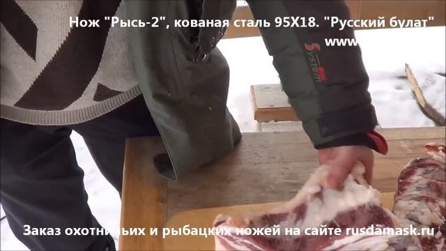 Охотничий нож Рысь 2 сталь 95Х18 Видео обзор и отзыв Русский булат Как выбрать Нож 95х18 тест охота