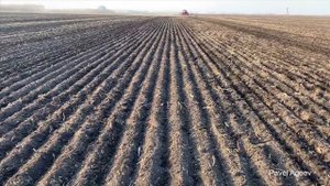 HORSCH Avatar 12.25 SD - посев по обработанной почве.
