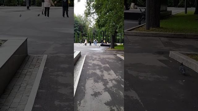 Россия,Москва,цигун.