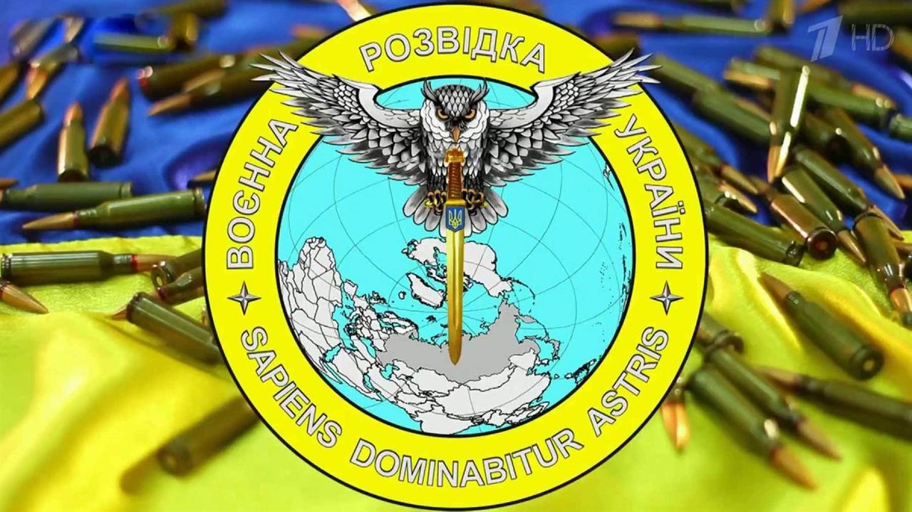 Украинская военная разведка выбрала своей эмблемой сову, пронзающую мечом Россию