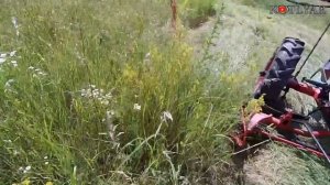 Конная косилка в работе. Кошение травы.