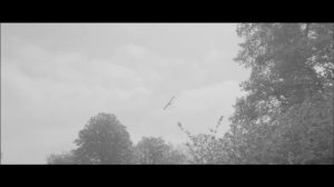 Goldfrapp - Drew (Official Video)