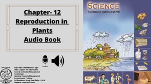 Chapter  12 Reproduction in Plants