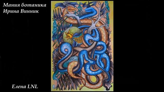 Раскрашивательный челлендж 34: змея/ Раскраски антистресс для взрослых смотреть онлайн