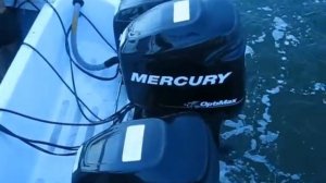 Катер катамаран с тремя моторами