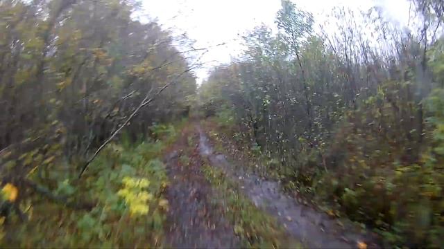 Чапаевские луга осенью. Поездка за грибами. смотреть онлайн