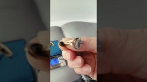 Запонки Горный хрусталь/серебро 875 со звездой. 1970гг