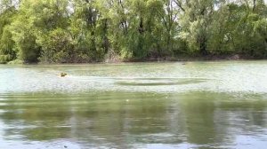 Очередной тест кораблей karpfisher carpboat