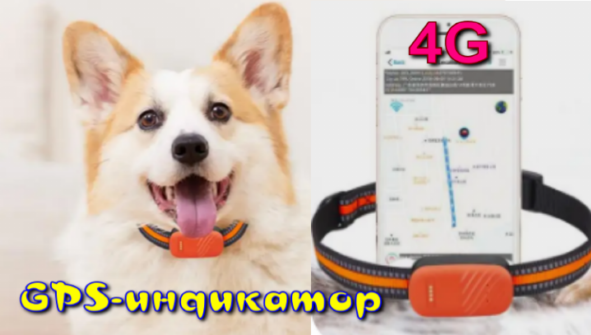Трекер для домашних питомцев 4G GPS