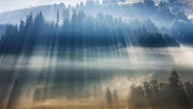 День 2 . Источник Изобилия. 21 день изобилия Дипак Чопра на русском языке смотреть онлайн