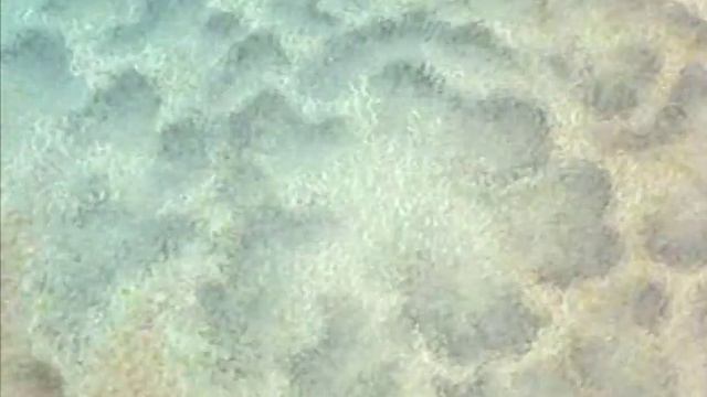 Jean Giono - L'Homme Qui Plantait des Arbres смотреть онлайн