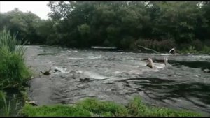 Поход на байдарках, день 2. Перевернулись на перекате!