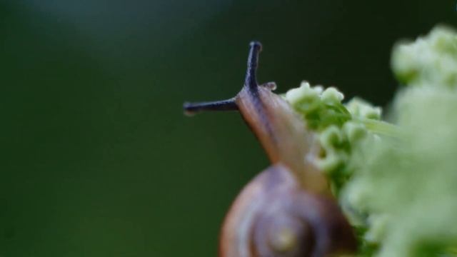 Природа Новгородского района в фотографиях смотреть онлайн