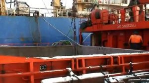 Охотское море перегруз