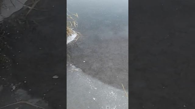 новосёловка(днепропетровская обл.)