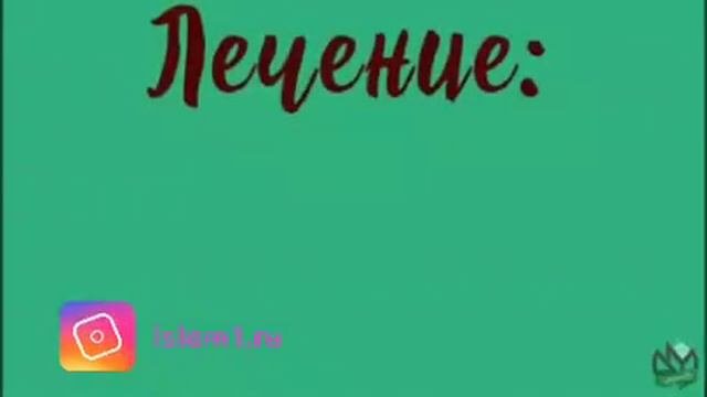 вкус намаза