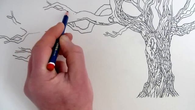 How To Draw A Tree: Narrated step by step смотреть онлайн