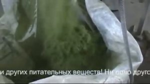 Травяная мука.mp4