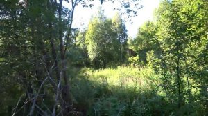 Нёнокса. Проникли в закрытое село без пропуска!