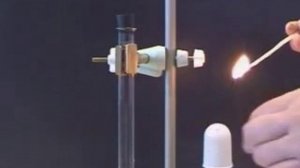 Кислород поддерживает горение