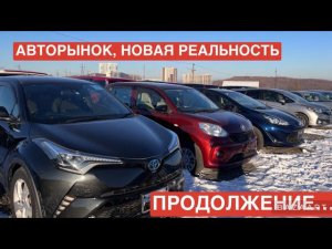 РЕАЛИТИ АВТОРЫНКА ЗЕЛЕНЫЙ УГОЛ 25 НОЯБРЯ АВТО ИЗ ЯПОНИИ ПОД ЗАКАЗ