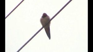 Богородицкий житенный монастырь. Осташков.