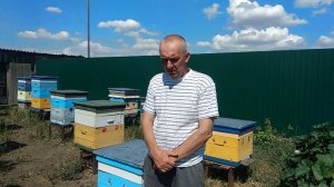 Как избежать роения.Наш 100% способ. Мы пчеловоды.Роеловство 2021