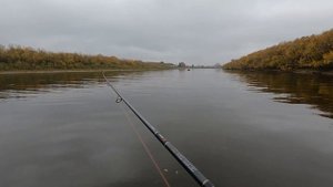 Рыбалка на реке Сухона. Закрытие сезона 2021. Устье-Вологодское.
