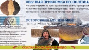 ❌ КУПИТЬ СУХУЮ КРОВЬ ? КАКУЮ ПРИКОРМКУ ИСПОЛЬЗОВАТЬ