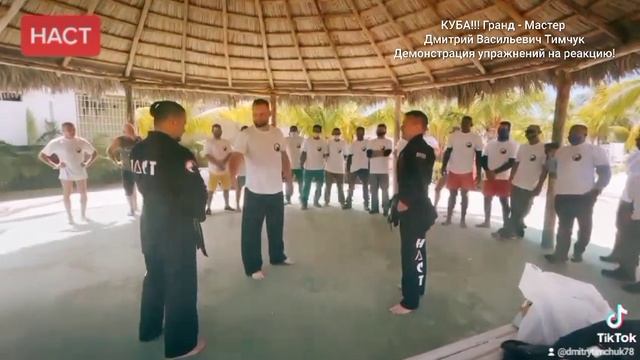 КУБА!!! Мастер - Класс на РЕАКЦИЮ! Гранд - Мастер Дмитрий Васильевич Тимчук! смотреть онлайн