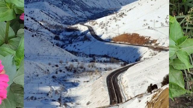ШОШИЛИНЧ! 26-27-28-ДЕКАБРДАН БОШЛАНАДИ ХАЛК ОГОХ БУЛИНГ УЗ ГЕДРОМИТ ОГОХЛАНТИРДИ