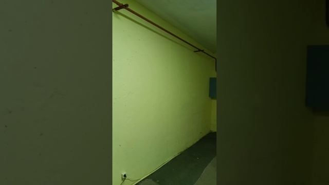 Предоставление в аренду на торгах нежилого помещения