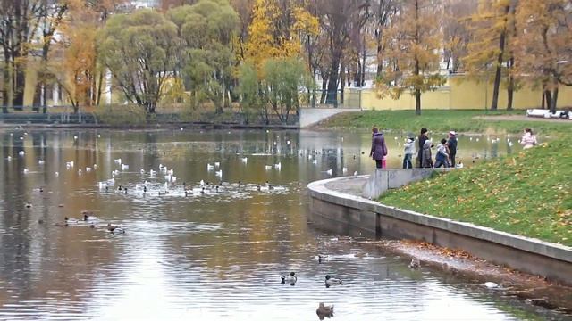 Canon PowerShot SX230 HS:  функция съемки видео