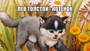 Лев Толстой   Котенок